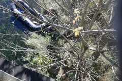 PHOTO-2023-11-01-11-55-47-2