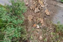 20250726_141109000_iOS