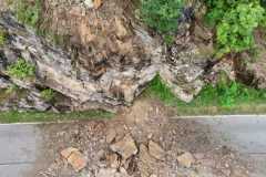 20250726_141110000_iOS-1