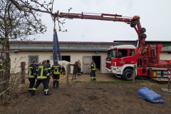 20260330_112525000_iOS