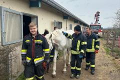 20260330_112809000_iOS-3